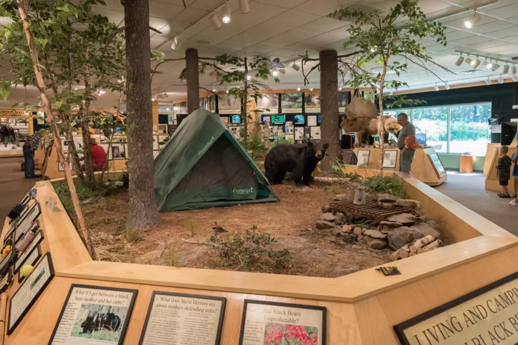 Minnesota Wildlife Passport