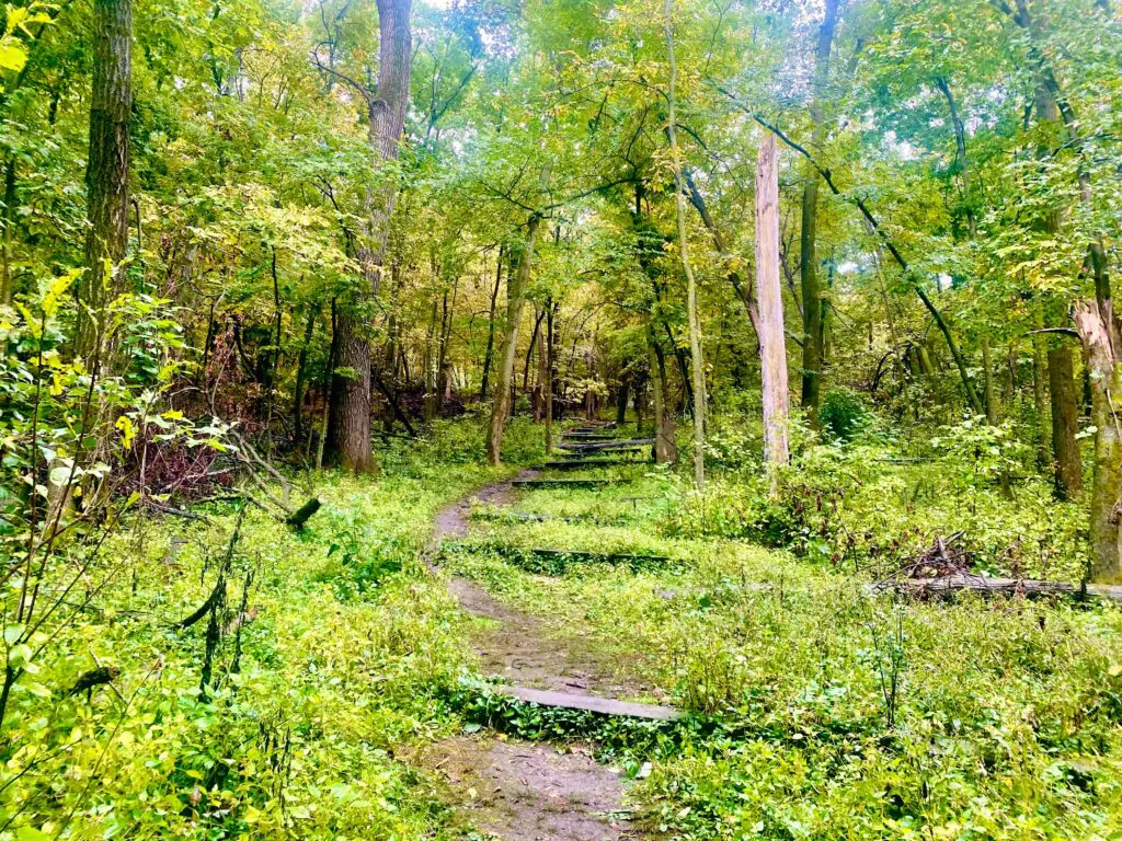 fall hikes