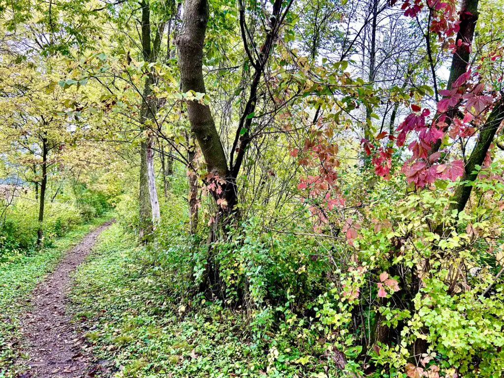 fall hikes