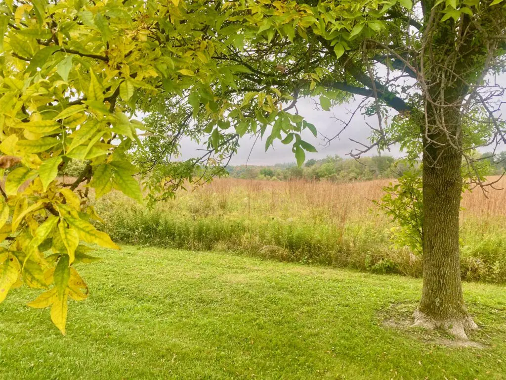 fall hikes